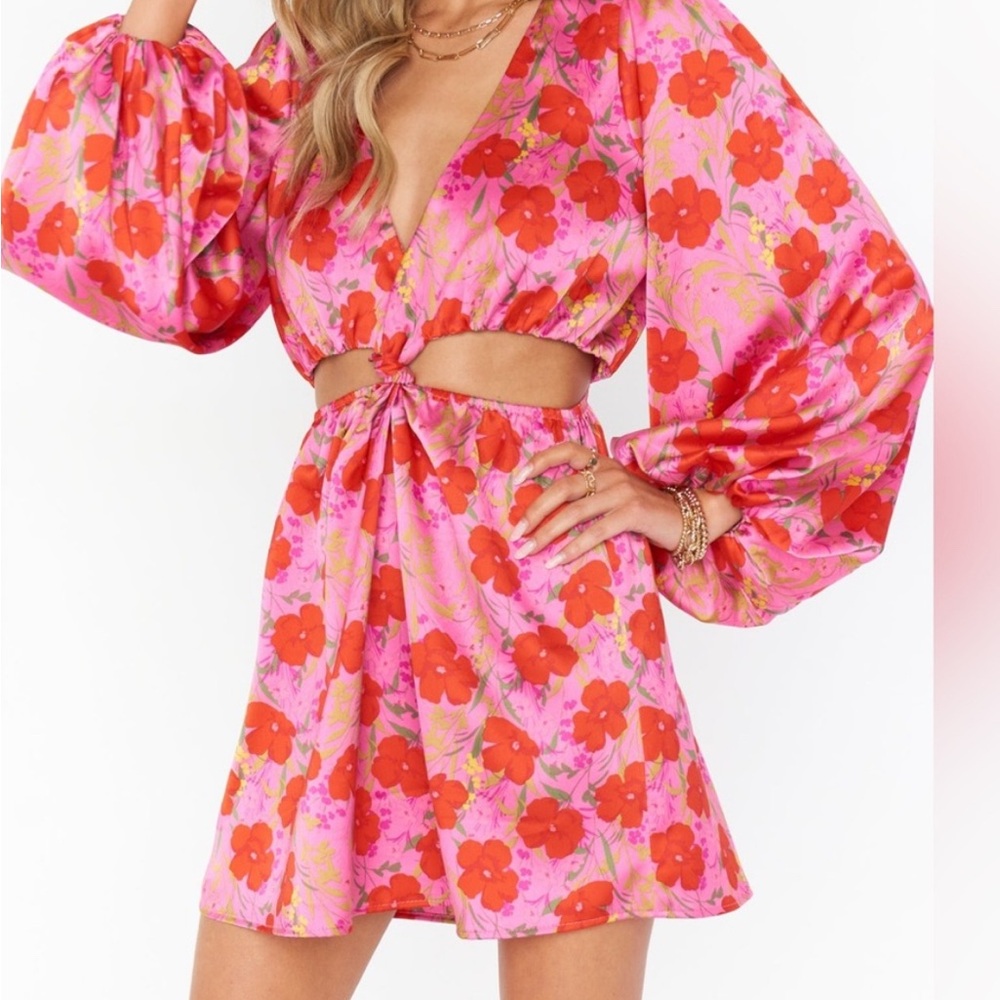 Show Me Your MuMu Pink and Red Floral Dress